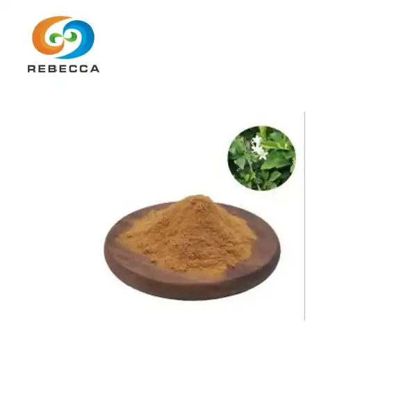 Bacopa Extract Powder